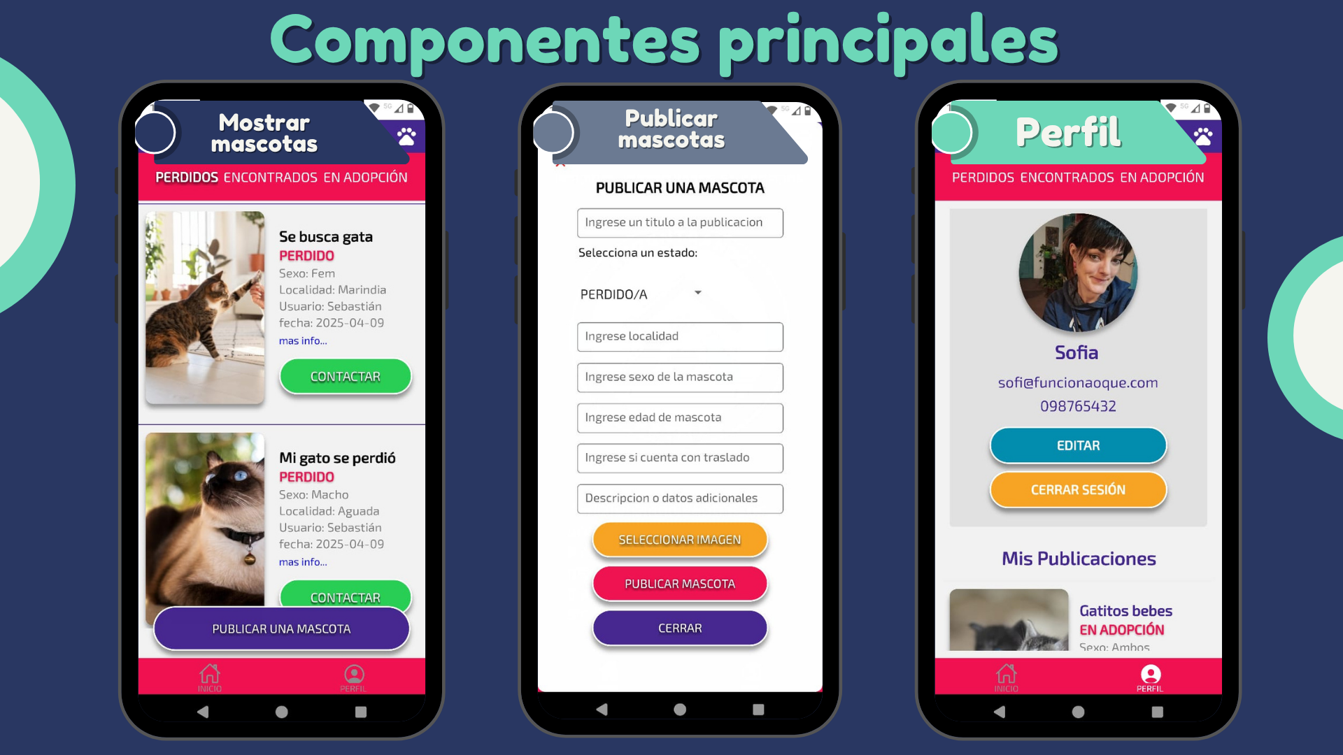 introduccion a proyecto vida fértil