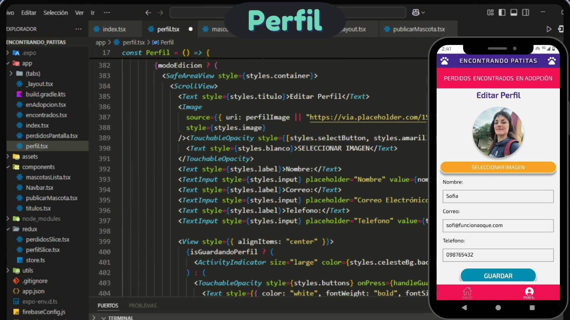 estado actual del proyecto